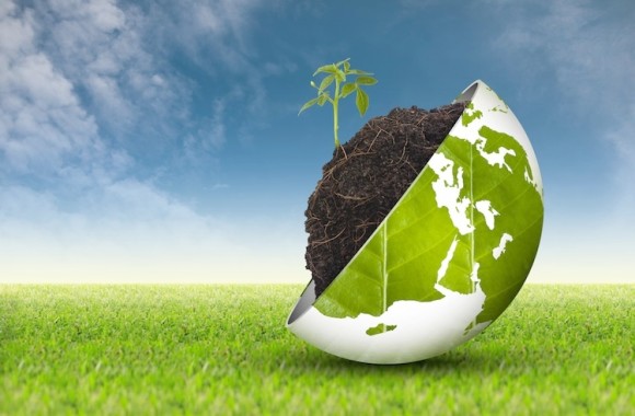 rinnovabili-greening-bioenergie-biocarburanti-biomasse-ambiente-sostenibilita-by-angelo19-fotolia-750x500